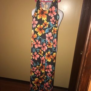 Lularoe Dani size M